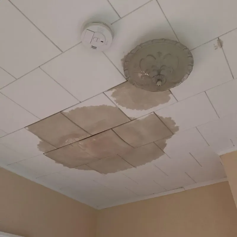 Ceiling Water Damage Repair in Grand Saline, TX