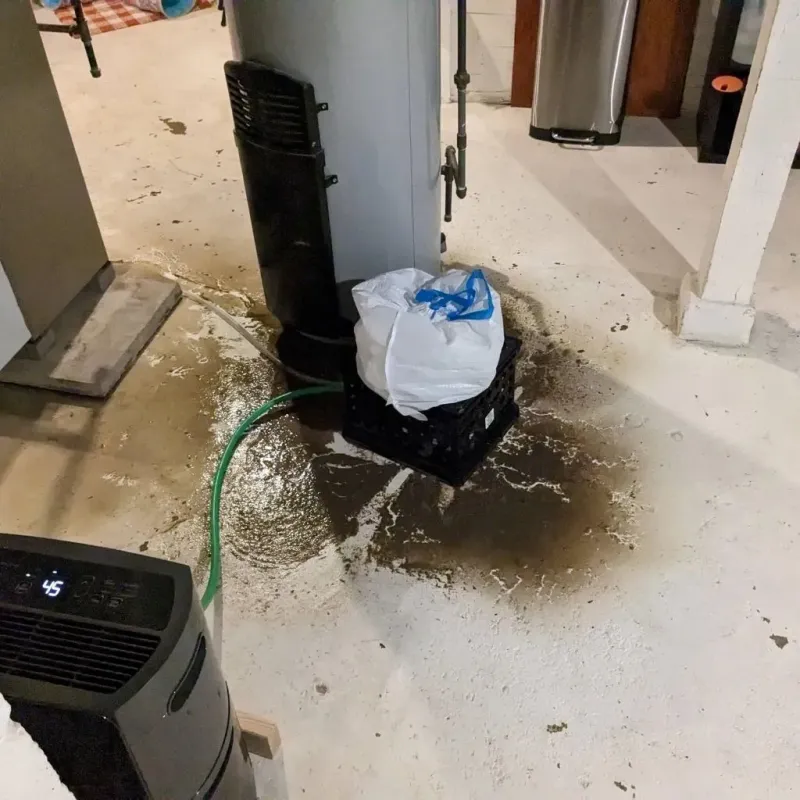 Sewage Backup Cleanup Service in Grand Saline, TX